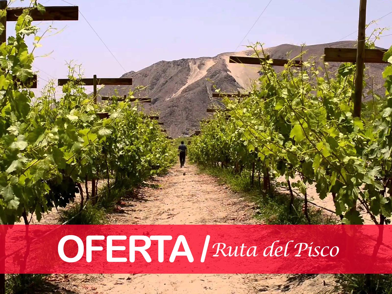 ruta del pisco